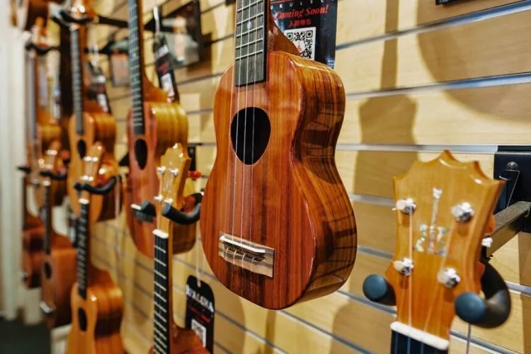 budget ukulele