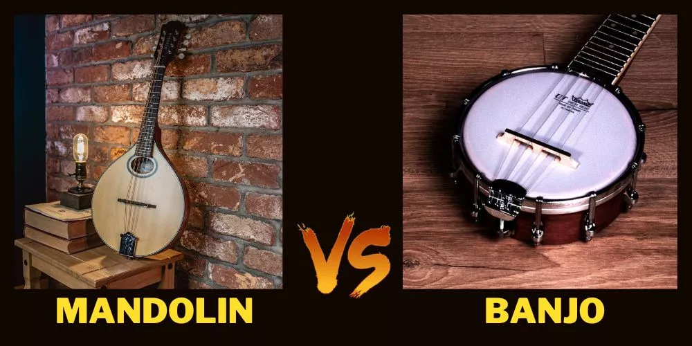 Mandolin vs Banjo (a detailed comparison)