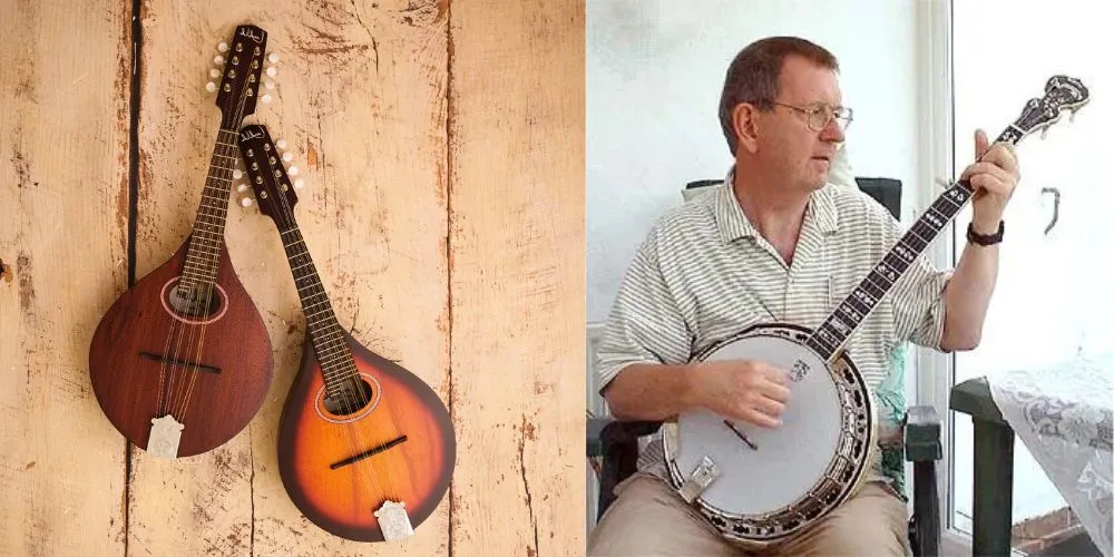Pros and Cons of mandolin and banjo