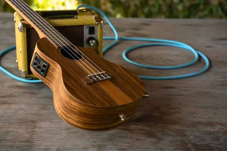 What To Keep In Mind When Choosing Ukulele String