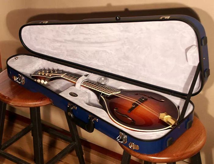 Additional Costs Related to Mandolin Ownership