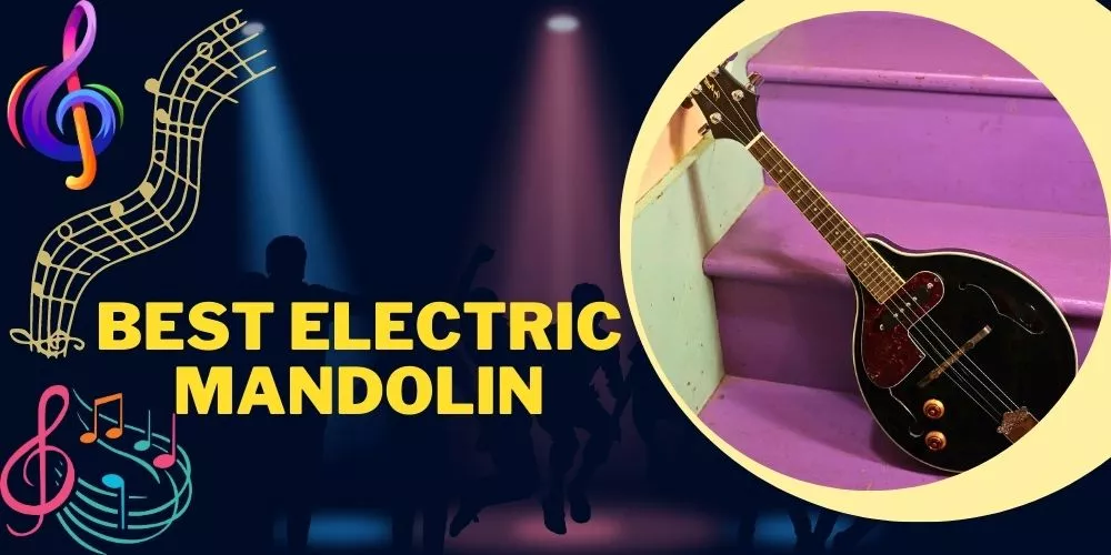 Best electric mandolin