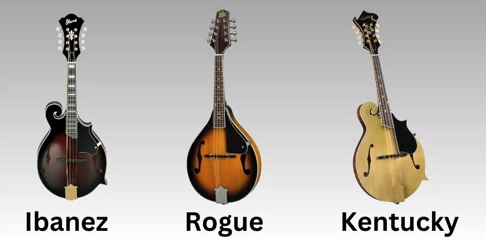 Best mandolin brands for beginners