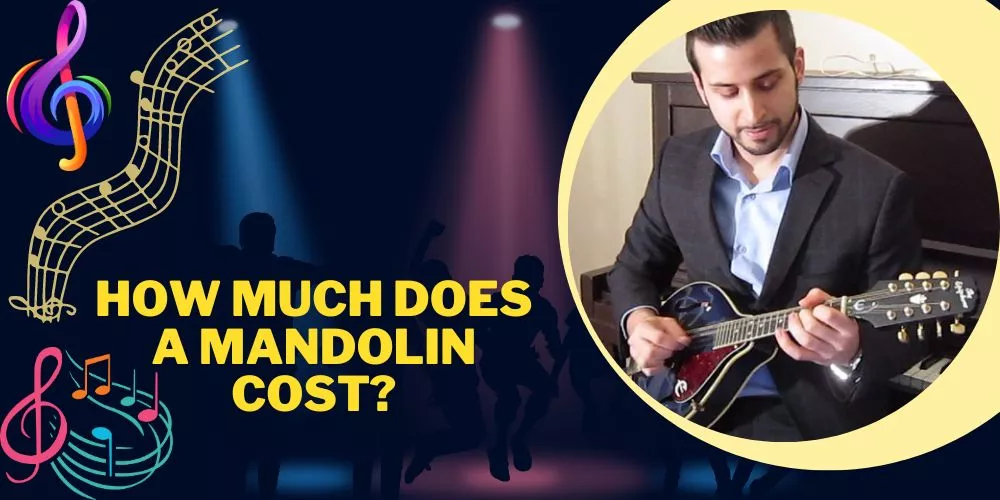How much does a mandolin cost