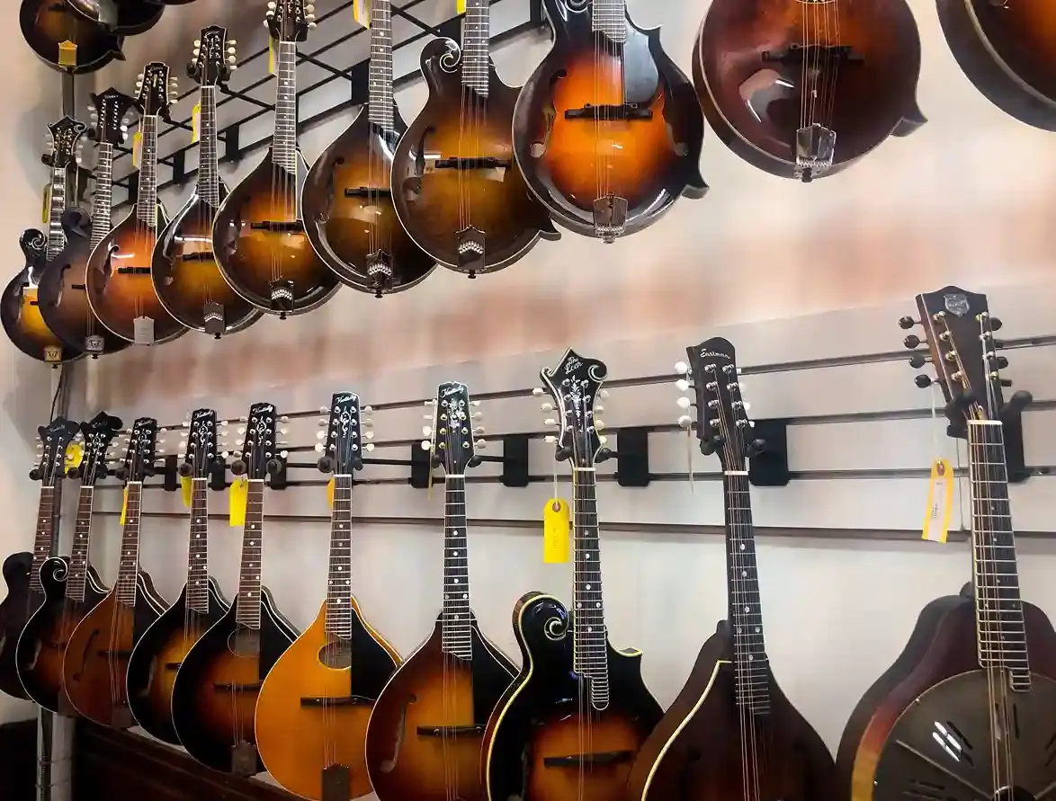 How to Choose the Right Mandolin