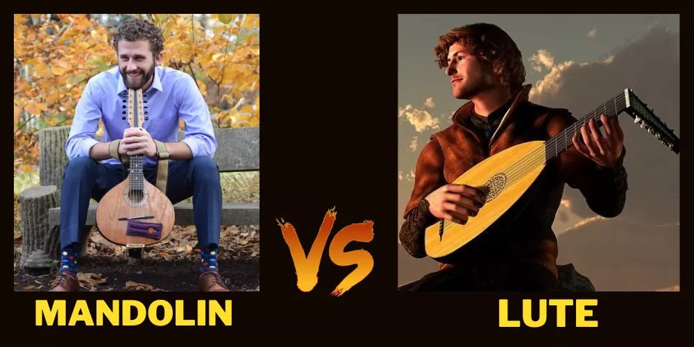 Mandolin vs lute (detailed comparison)