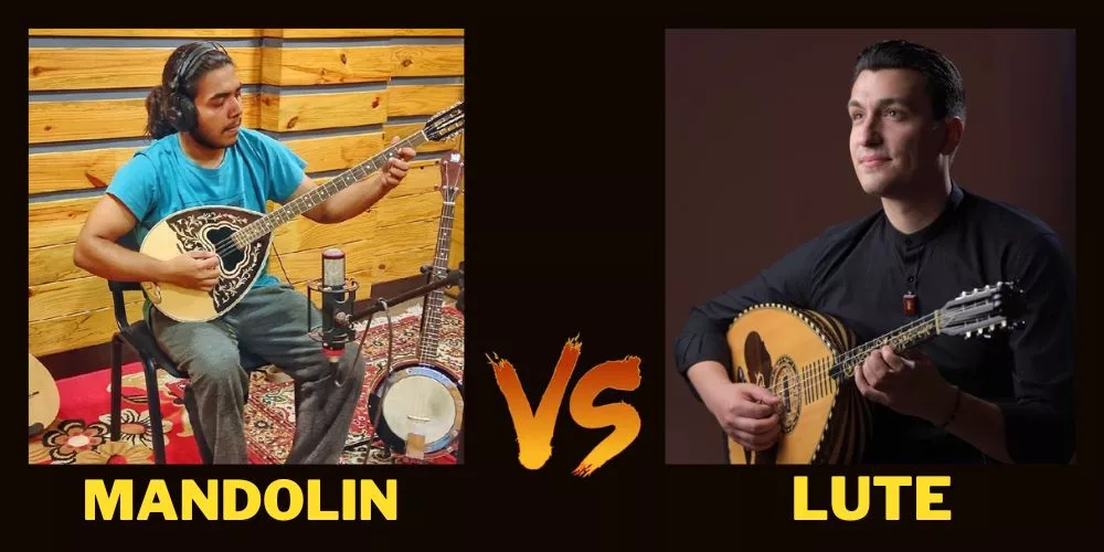 Mandolin vs lute