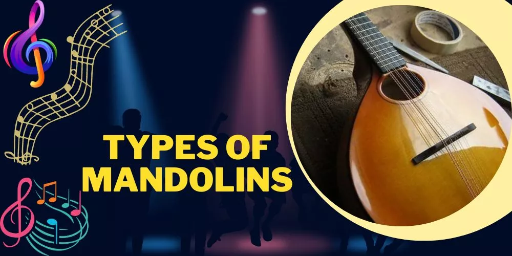 Types of Mandolins