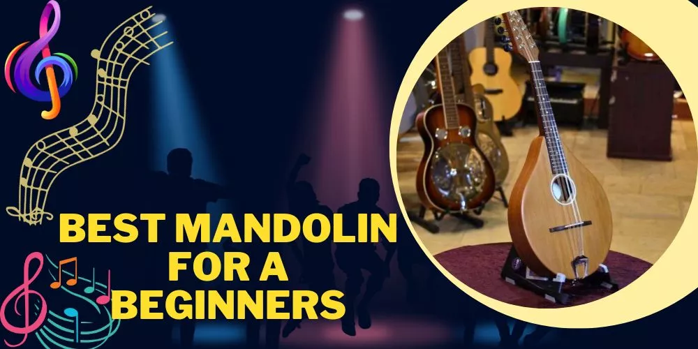 Best mandolin for a beginners