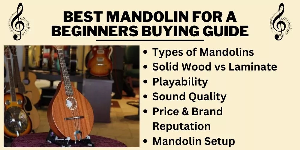 Best mandolin for a beginners Buying Guide
