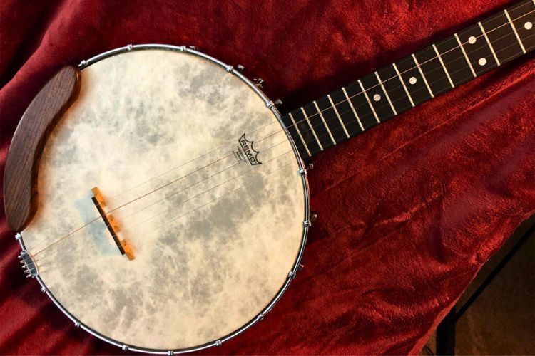 How many strings does a typical banjo have? all about banjo strings