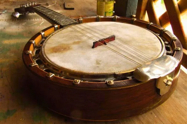 What is an 8 string banjo called
