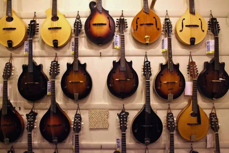 What is the story of mandolin