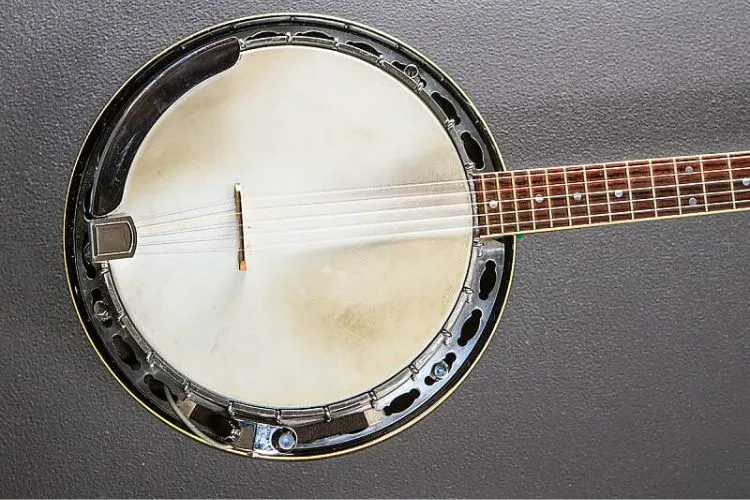5-String Banjo