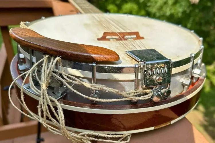 Pros and Cons of Closed (Resonator) Banjo