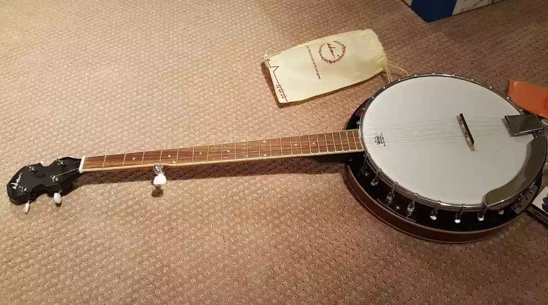 What is a good cheap banjo