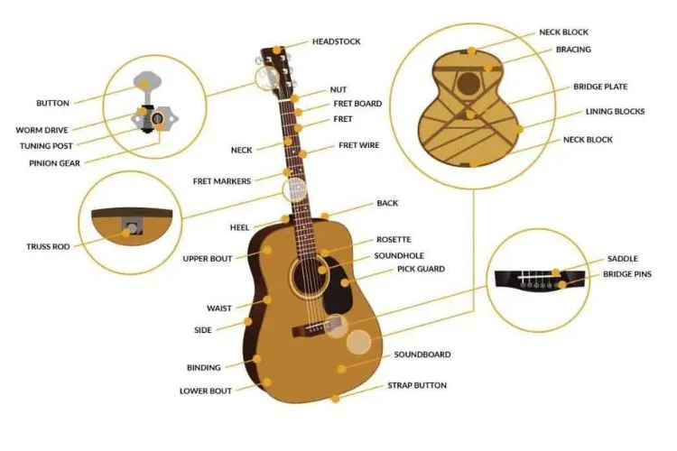 Anatomy of a Full-Size Guitar